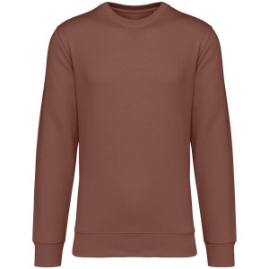 Native Spirit Drifter pulver, Sienna